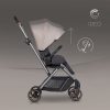 Sportwagen (Buggy) CAVOE Ideo
